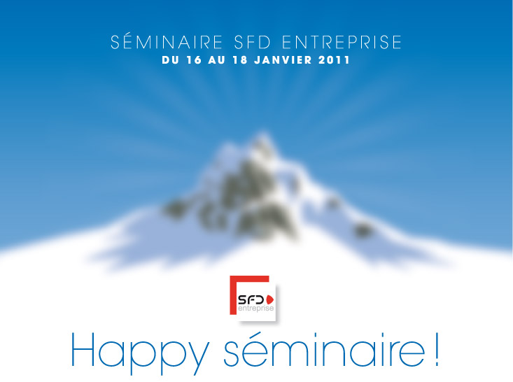 Séminaire SFD Entreprise <br>du 16 au 18 janvier 2011