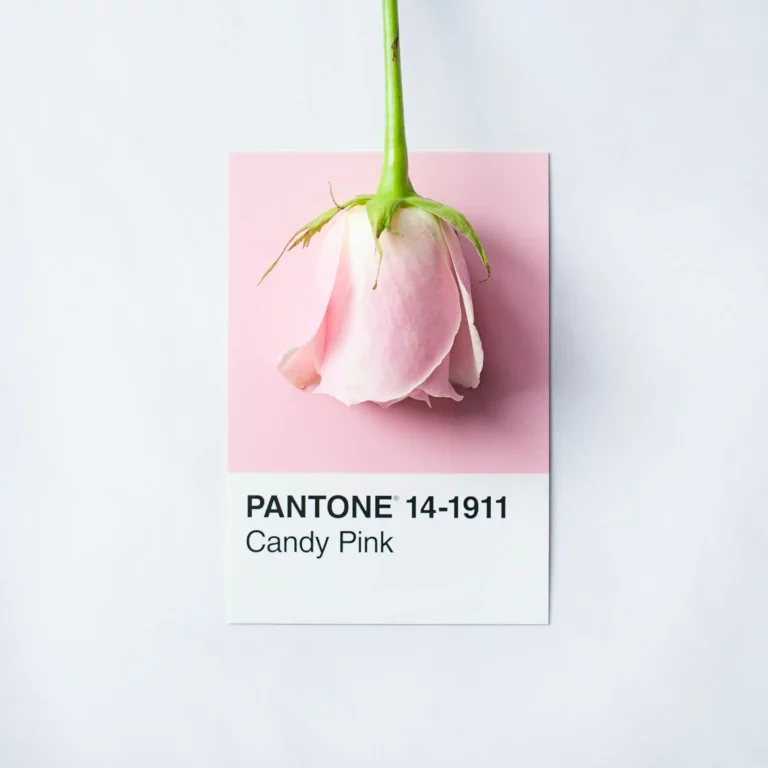 Clé de Fa - Pantone Candy Pink
